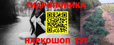 шишки Канаш