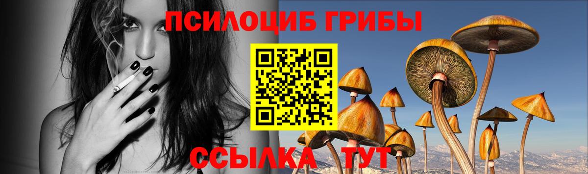 Лесной  Псилоцибиновые грибы Magic Shrooms  Псилоцибиновые грибы Psilocybine cubensis  Вход с VPN 